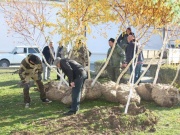 В Виноградном продолжили эстафету озеленения города!