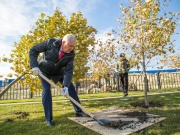 В Супсехе в новом сквере высаживают деревья!