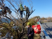 На Утрише спасли реликтовые растения от ленточек желаний