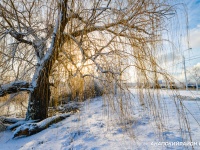 Фото Анапы, 16.1.19