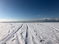 Фото Благовещенской, 17.1.19