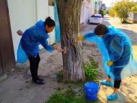 Анапа полным ходом готовится к майским праздникам! 