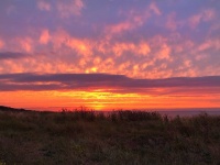 Станица Благовещенская, 11 июля 2019 (фото)