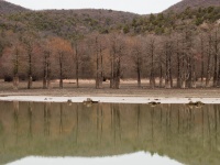 Кипарисовое озеро в Сукко, 30 января 2020 (фото)