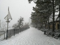 Снег в Анапе, 8 февраля 2020 (фото)