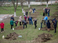 В Супсехе прошла международная акция «Сад памяти»