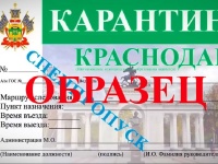 Что необходимо для получения зеленых пропусков на автомобили для организаций