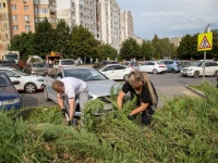 В субботнике в Анапе приняли участие около 3 тысяч человек