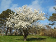 Анапа, 28 марта